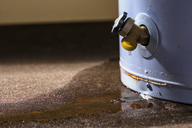 Best 24-hour water damage restoration  in Matawan, NJ