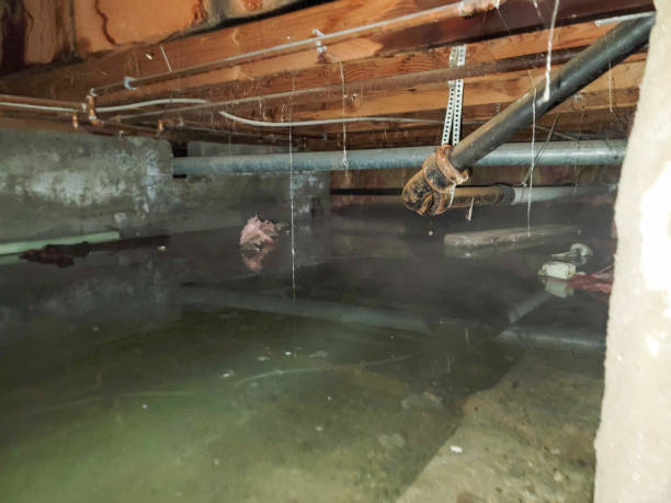 Best Residential water damage restoration  in Matawan, NJ