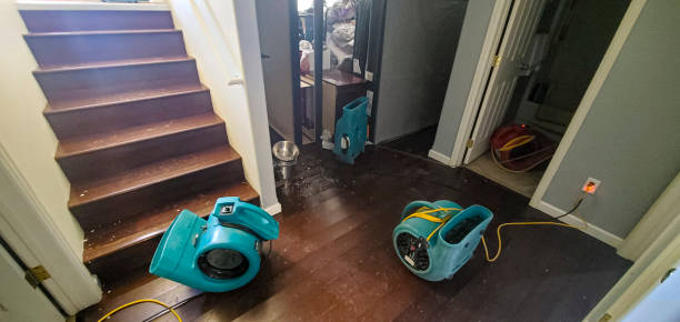 Best Ceiling water damage repair  in Matawan, NJ