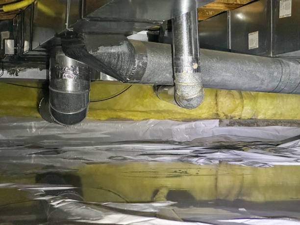 Best Water damage mitigation services  in Matawan, NJ