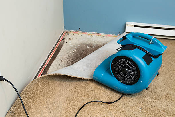  Matawan, NJ Water damage restoration Pros
